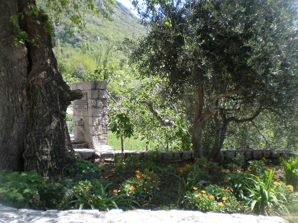 Villa Lidija Будва Стая снимка